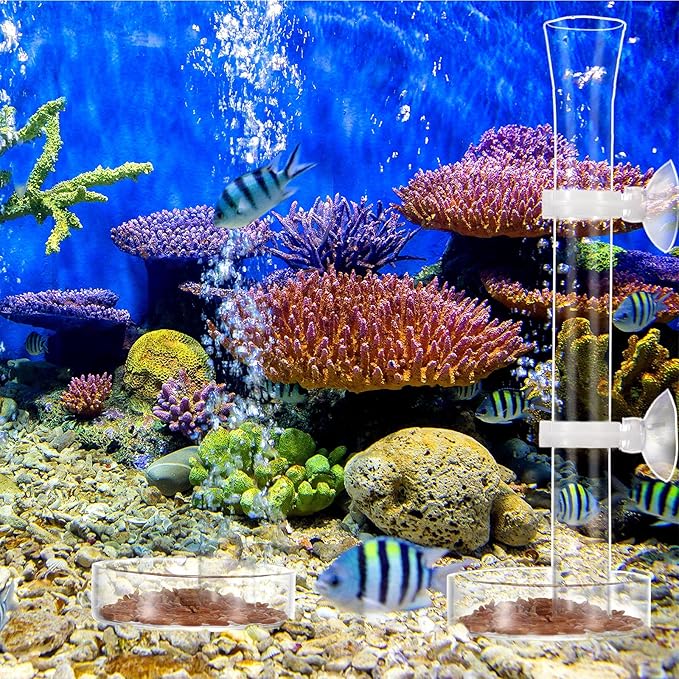 3 Pieces Shrimp Feeding Tube and Dish Set, Include Glass Shrimp Feeder Tube and 2 Aquarium Dish Bowl Fish Tank Feeding Supplies