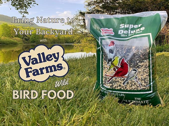 Valley Farms Super Deluxe Wild Bird Food for Outside feeders - 0% fillers - Loads of Sunflower Seed - w/Peanut kernels -Feed More Birds w/Less Seed (4 LBS)