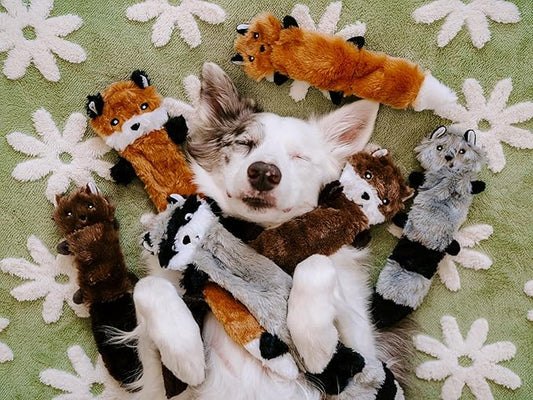ZippyPaws Skinny Peltz - No Stuffing Dog Toy Pack to Keep Them Busy, for Small and Medium Dogs, Squeaky Pet Toys, Unstuffed Chew Toys, Soft Plush Variety Pack, Fox, Raccoon, and Squirrel - 11"