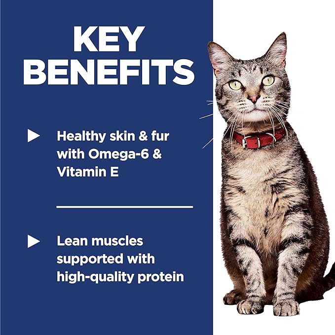 Hill's Science Diet Adult 1-6, Adult 1-6 Premium Nutrition, Dry Cat Food, Salmon & Brown Rice, 15 lb Bag