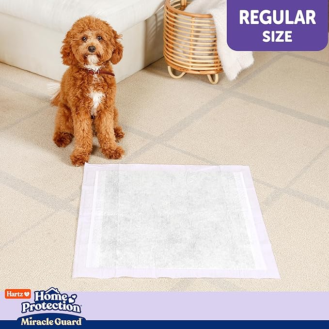 New! Hartz Home Protection Miracle Guard Lavender Scented USA Made Dog Pads, Regular Size 50 Count, 24 Hour Use, Won't Leak and Odor Eliminating