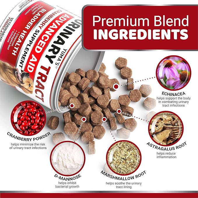 Dog UTI Treatment - 170 Treats - Cranberry Supplement for Dogs - Bladder Control - Urinary Tract Infection Treatment - UTI Medicine Multivitamin - Vitamins and Supplements - Made in USA