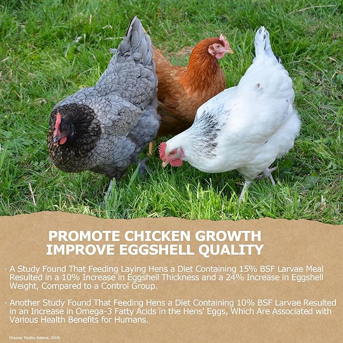 10LB Non-GMO Dried Black Soldier Fly Larvae, Superior Calcium Boost for Chickens, Better Than Dried Mealworms, Poultry Feed Ideal for Molting & Laying Hens, Wild Birds, Ducks | Top Grade BSF