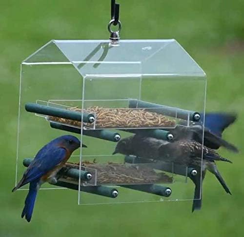 Amzey Appetizing Mealworms 22lbs-100% Non-GMO Dried Mealworms - High-Protein Meal Worm Treats -Perfect for Your Chickens,Ducks,Wild Birds,Turtles,Hamsters,Fish