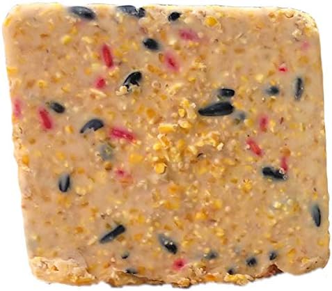 Suet Cake 15 Pack | 11 oz. Suet Cakes for Wild Birds| (Mega Mix)