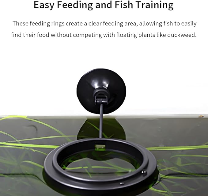 2Pcs Fish Feeding Rings Black Round Floating Food Feeder Circle with Suction Cup for Fishes Tank Aquarium Turtle Betta Goldfish Small Fish Feeding Accessories Floating Plant Duckweed Ring