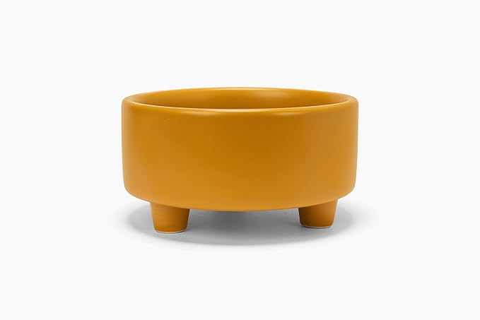 Waggo Uplift Ceramic Dog Bowl for Small Medium and Large Breeds - Heavyweight and Durable Pet Food and Water Dish Crock, Dishwasher Safe, Modern, Elevated Feeder (Mustard, Large)