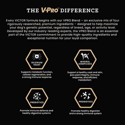 VICTOR Super Premium Dog Food – Select Beef Meal & Brown Rice Formula for Immune and Gut Health – Gluten-Free Beef Meal Dry Dog Food for All Normally Active Dogs of All Life Stages, 15 lbs