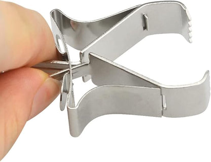 4Pack Birds Food Holders Parrot Fruit Vegetable Clips Stainless Steel Feeder Bird Cage Accessories for Bird Cockatiel Parrot