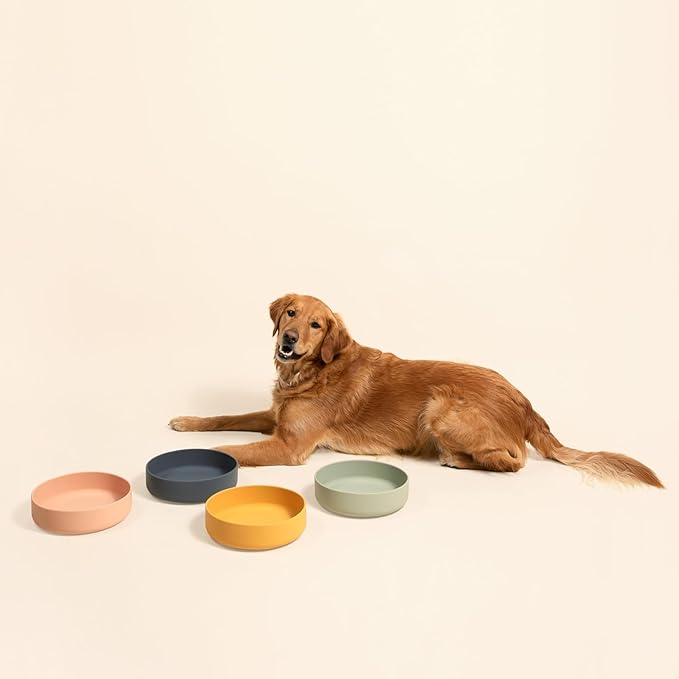 The Perfect Dish No-Spill Dog Water Bowl, Less Mess Non-Tippable Water & Food Bowl, Pure Silicone with Suction Cup, Fits 8 Cups 9.5" Across x 2.5" Tall Ideal for All Pets, Large-Blush