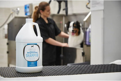 White Mint Brightening Shampoo - Gallon