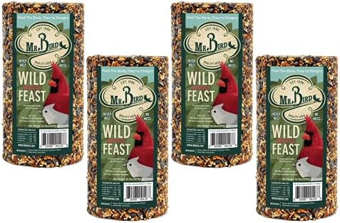 4 - Pack of Mr. Bird Wild Bird Feast Cylinder 28 ox | Wild Bird Food for Outdoor Birds | Backyard Birdfeeding