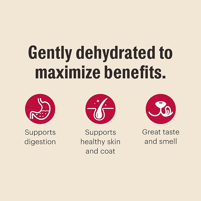 The Honest Kitchen Human Grade Dehydrated Whole Grain Dog Food – Complete Meal or Dog Food Topper – Turkey, 10 Pound (Pack of 1) (makes 40 lbs)