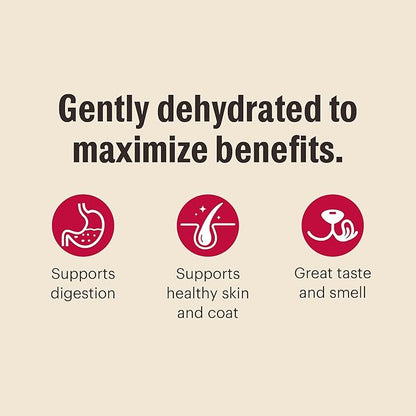 The Honest Kitchen Dehydrated Whole Grain Chicken Dog Food, 7 lb Box