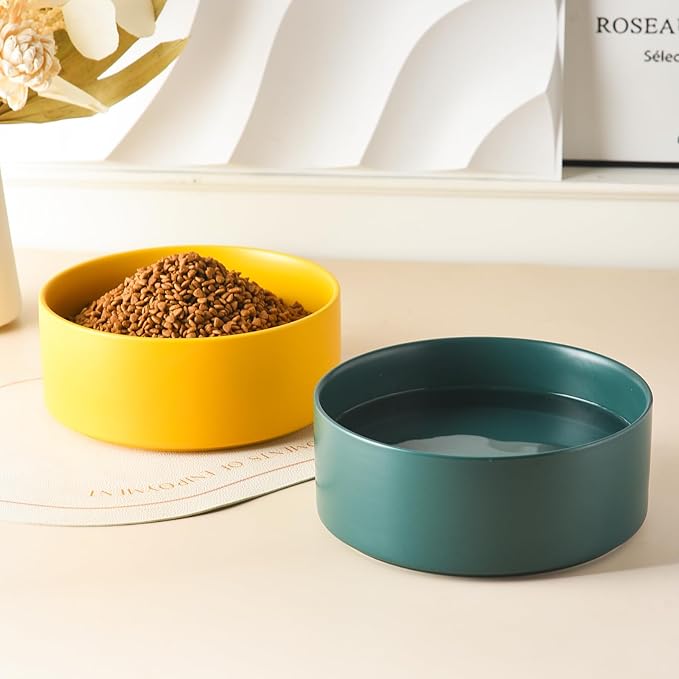 8'' Ceramic Dog Bowl - 70Oz Classic Dogs Food & Water Bowl for Medium and Large Breeds, Heavy-Duty Non-Slip Dog Dish, Food Grade Stoneware Pet Bowl, Dishwasher & Microwave Safe, Green