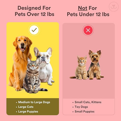 Jasper Dog Toothbrush, 360 Degree Pet Tooth Brushing Kit, Cat Toothbrush, Canine Dental Care & Teeth Cleaning Kit, Pet Finger Tooth Brush, Use with Dog Toothpaste, 4-Pack Multicolor