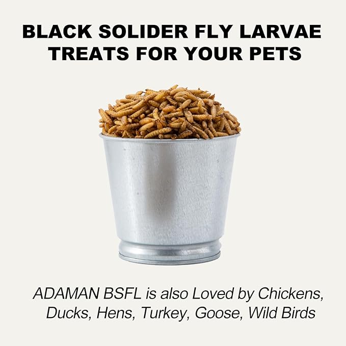 Adaman Dried Black Soldier Fly Larvae 20 LBS-100% Natural Non-GMO BSF Larvae-More Calcium Than Dried Mealworms High-Protein Chickens Treats, Food for Birds, Ducks, Repitle, Hedgehog, Bearded Dragon