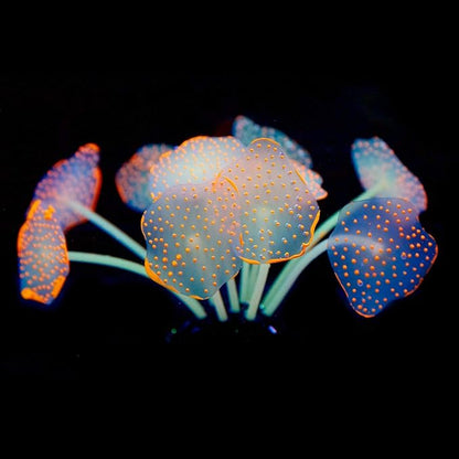 Uniclife Silicone Coral Plant Decorations Glowing Artificial Ornament for Fish Tank Aquarium, Orange, Ball Shape Glow Fish Tank Decorations for Betta Fish