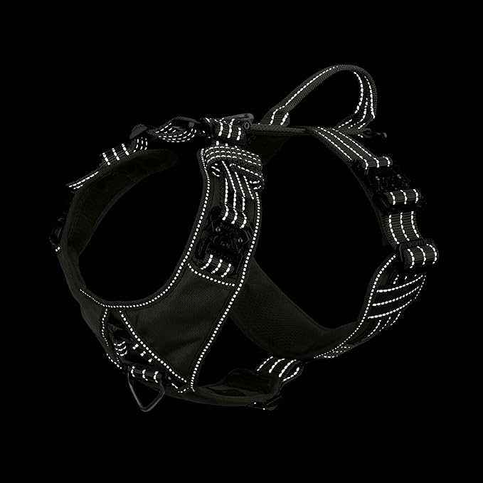 ICEFANG Dog Strap Harness with 4 x Metal Buckles,for Medium Sized Dog,K9 Vest,Y-Shape Chest,Adjustable Pet Harness,No-Pull Front Leash Clip (Medium (Pack of 1), Green)