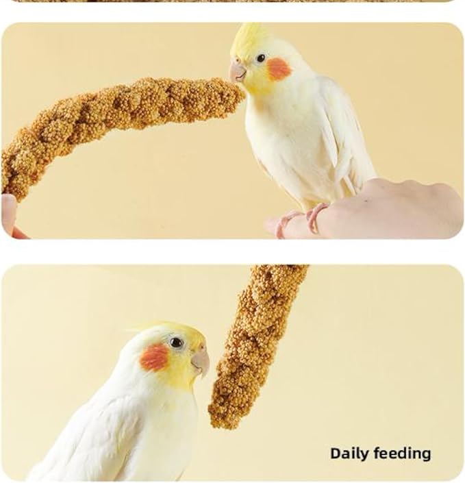 1.1LB Vacuum Sealed Spray Millet Treat for Birds Parakeets, Natural Sun-Dried Birds Millet for Cockatiel, Budgie, Finches, Parrots, Hamster(500 Gram)