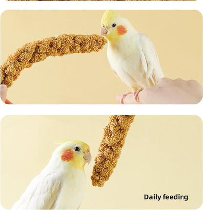 1.1LB Vacuum Sealed Spray Millet Treat for Birds Parakeets, Natural Sun-Dried Birds Millet for Cockatiel, Budgie, Finches, Parrots, Hamster(500 Gram)