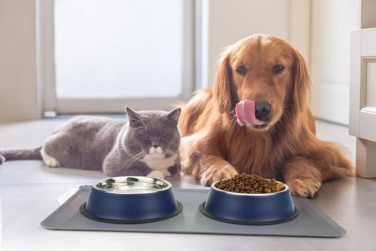 Stainless Steel Dog Bowls, Food and Water Non Slip Anti Skid Stackable Pet Puppy Dishes for Small, Medium and Large Dogs (2 Pack)