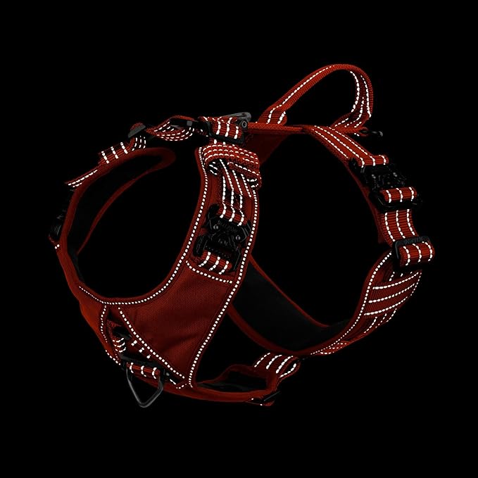 ICEFANG Dog Strap Harness with All-Metal Hardware,for Medium Sized Dog,K9 Vest,Y-Shape Soft Padding,Adjustable Pet Harness,No-Pull Front Leash Clip (Medium (Pack of 1), Orange)