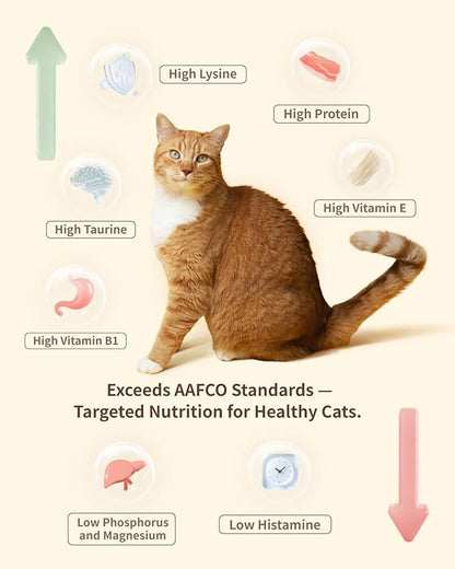 Freeze-Dried Raw Cat Food, 97% Animal Origin Dry Food for Cat, High Protein Treat & Topper (Beef Recipe - 14 Ounce)