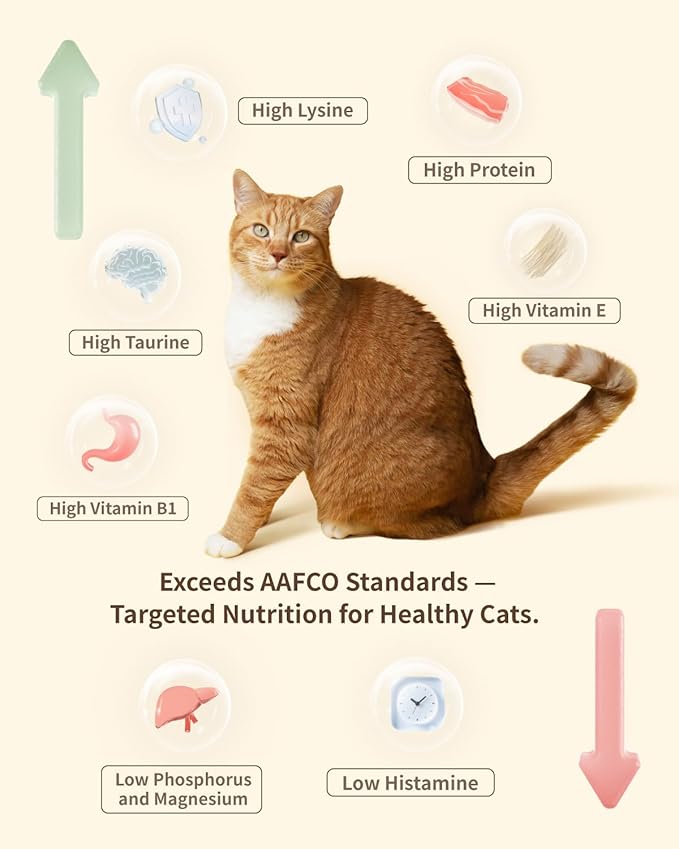 Freeze-Dried Raw Cat Food, 97% Animal Origin Dry Food for Cat, High Protein Treat & Topper (Rabbit Recipe - 14 Ounce)