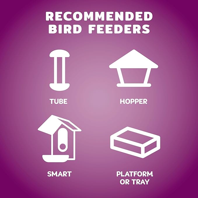 Audubon Park Nut & Fruit Wild Bird Seed – 8 lb. Premium Blend with Sunflower Seeds, Peanuts, Safflower & Dried Fruit – Bird Food for Outside Feeders