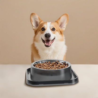 Stainless Steel Dog Bowls, Spill Proof Basic Dogs Bowls for Small Dogs Cats, 2 Cup Dog Food and Water Bowl, Non-Slip Puppy Feeder, Cat Bowl for Feeding Water - Starry Gray