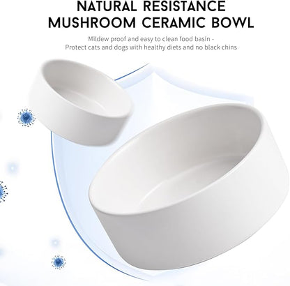 White Ceramic Dog & Cat Bowl Set – 13.5 OZ with Wooden Stand, Non-Slip, Elevated Design for Small Dogs & Cats – 2 Bowls (Food & Water, Ceramic Pet Bowls, Modern Dog Bowls)