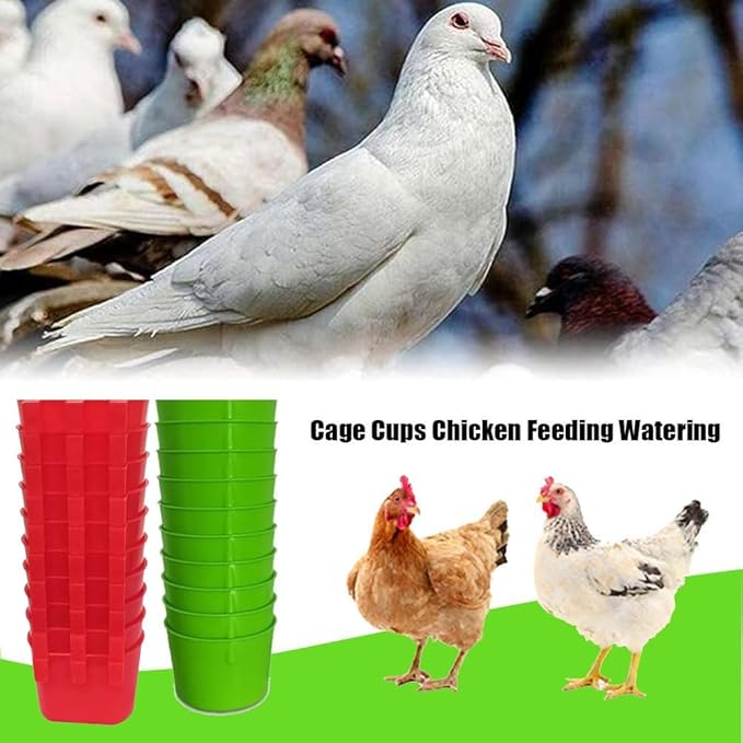 20Pcs Cage Cup Bird Cage Feeder Chicken Feeding Bowl Chicken Water Cups Hanging for Cage Chicken feeders Water Cups Hanging for Treats Grit Gamefowl Parrot Parakeet Poultry(Red+Green)