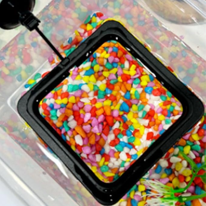 2pcs Feeding Fish Ring Set, Fish Food Feeder +Thermometer Strip, Tank Decor, Aquarium Tank Accessories for Floating Foods, for Betta, Guppy, Goldfish Etc