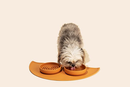 The Perfect Dish No-Spill Dog Water Bowl, Less Mess Non-Tippable Water & Food Bowl, Pure Silicone with Suction Cup, Fits 2 Cups 6” Across x 1.25” Tall, Ideal for All Pets, Small-Charcoal
