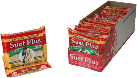 Suet Plus Cherry Crunch Suet 12 Pack