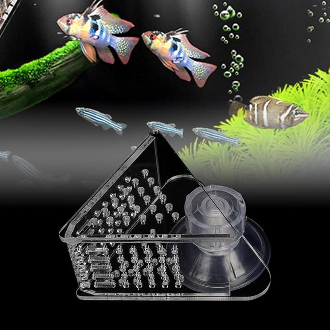 Aquarium Cone Red Worm Feeder Acrylic V-Shape Automatic Fish Feeder Brine Shrimp Food Feeding Cup with Suction Cup