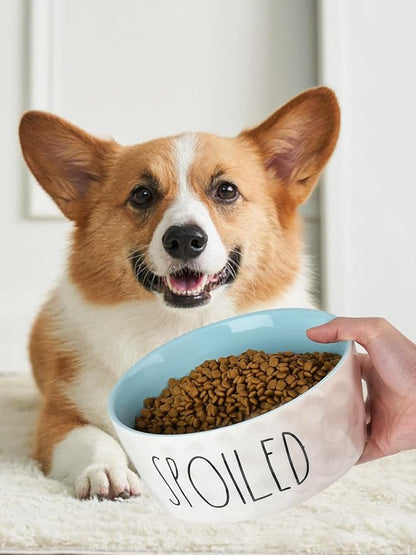 27OZ Ceramic Dog Bowl - 6 Inch Small Food Water Bowl, Heavy Duty Non-Slip Dog Dish for Medium Dogs, Food Grade Porcelain Pet Feeder Bowls, Microwave & Dishwasher Safe, Blue