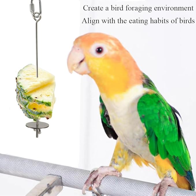 2pcs Hanging Bird Treat Skewer Parrot Fruit Feeder with Washer, 9 Inch Stainless Steel Bird Food Holder Parrot Fruit Food Skewer Parakeet Treat Holder Feeder for Parakeet Conure, LXLVOUEG