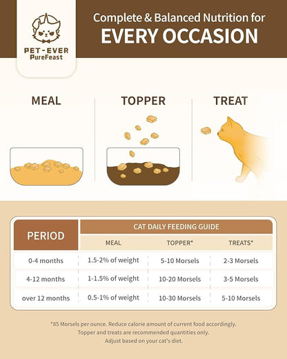 Freeze-Dried Raw Cat Food, 97% Animal Origin Dry Food for Cat, High Protein Treat & Topper (Beef Recipe - 14 Ounce)