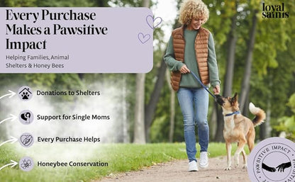 Freeze Dried Raw Dog Food - Premium Chicken Flavor with High Protein & Grain Free Dog Food for Small or Large Breeds and Picky Eaters - Versatile as Meal Topper, Pet Snack & Treats, 14 Oz