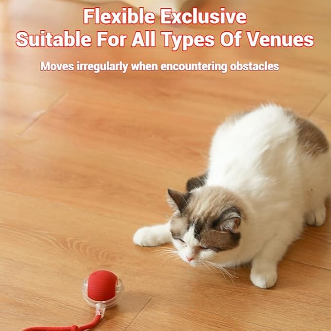 Tiny Fetch Dog Toy, Tinyfetch Interactive Dog Cat Toys Balls with Birdsong, 360° Smart Automatic Rolling Electric Dog Ball Toy, Fast Moving Balls Toys for Pets (red)