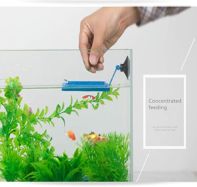 2 Pcs Fish Feeding Ring, Fish Safe Floating Food Feeder Circle Blue, with Suction Cup Easy to Install Aquarium, Square and Round Shape Fish Tank Towels - for Guppy, Betta, Goldfish, Etc. (Blue)¡­