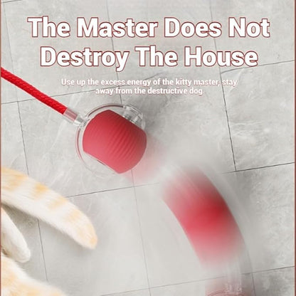 Tiny Fetch Dog Toy, Tinyfetch Interactive Dog Cat Toys Balls with Birdsong, 360° Smart Automatic Rolling Electric Dog Ball Toy, Fast Moving Balls Toys for Pets (red)