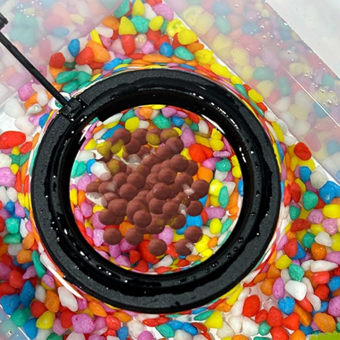 2pcs Feeding Fish Ring Set, Fish Food Feeder +Thermometer Strip, Tank Decor, Aquarium Tank Accessories for Floating Foods, for Betta, Guppy, Goldfish Etc