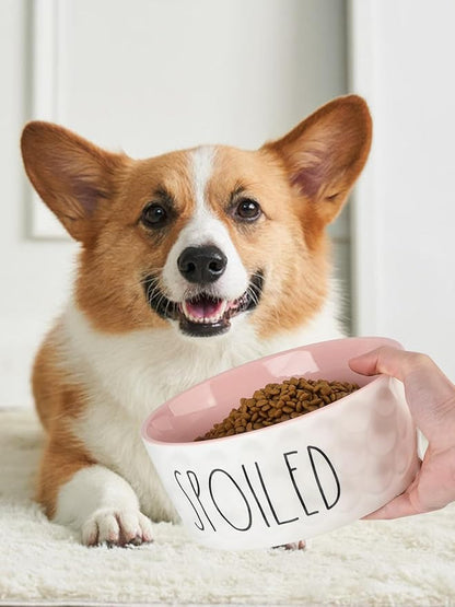 27OZ Ceramic Dog Bowl - 6 Inch Small Food Water Bowl, Heavy Duty Non-Slip Dog Dish for Medium Dogs, Food Grade Porcelain Pet Feeder Bowls, Microwave & Dishwasher Safe, Pink