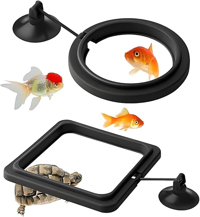 2Pcs Fish Feeding Rings Black Round Floating Food Feeder Circle with Suction Cup for Fishes Tank Aquarium Turtle Betta Goldfish Small Fish Feeding Accessories Floating Plant Duckweed Ring