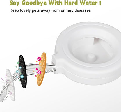 RIZZARI Upgraded Automatic Dog Water Dispenser: 9L Black Gravity Large Stainless Steel Raised Pet Feeder with Filter - Includes 2 Extra Filters & 2 Bottle Caps - Pet Feeder for Dogs Indoor Outdoor