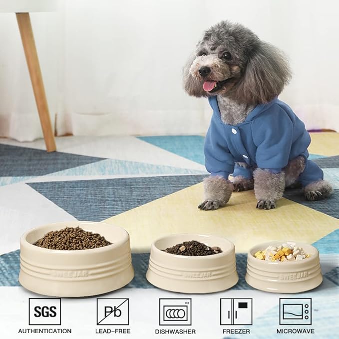 Sweejar Gradient Dog Bowl, Ceramic Dog Food Dish for Puppy and Kitten, Porcelain Pet Bowl for Food and Water 8 oz (Beige)