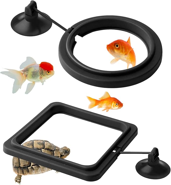 2PCS Fish Feeding Ring,Fish Feeder Circle Aquarium and Tank Floating Rings Food Feeders with Suction Cup for Goldfish Turtle and Other Smaller Fish (Round and Square, Black)